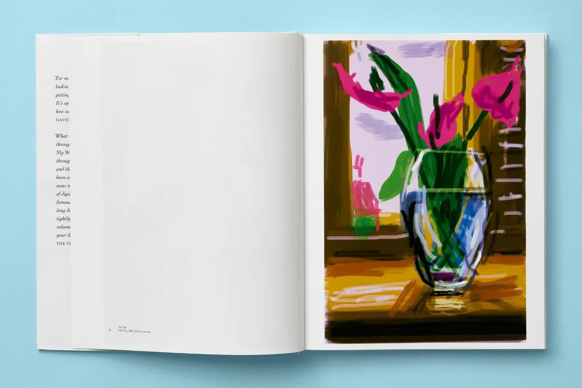 Boek David Hockney My Window