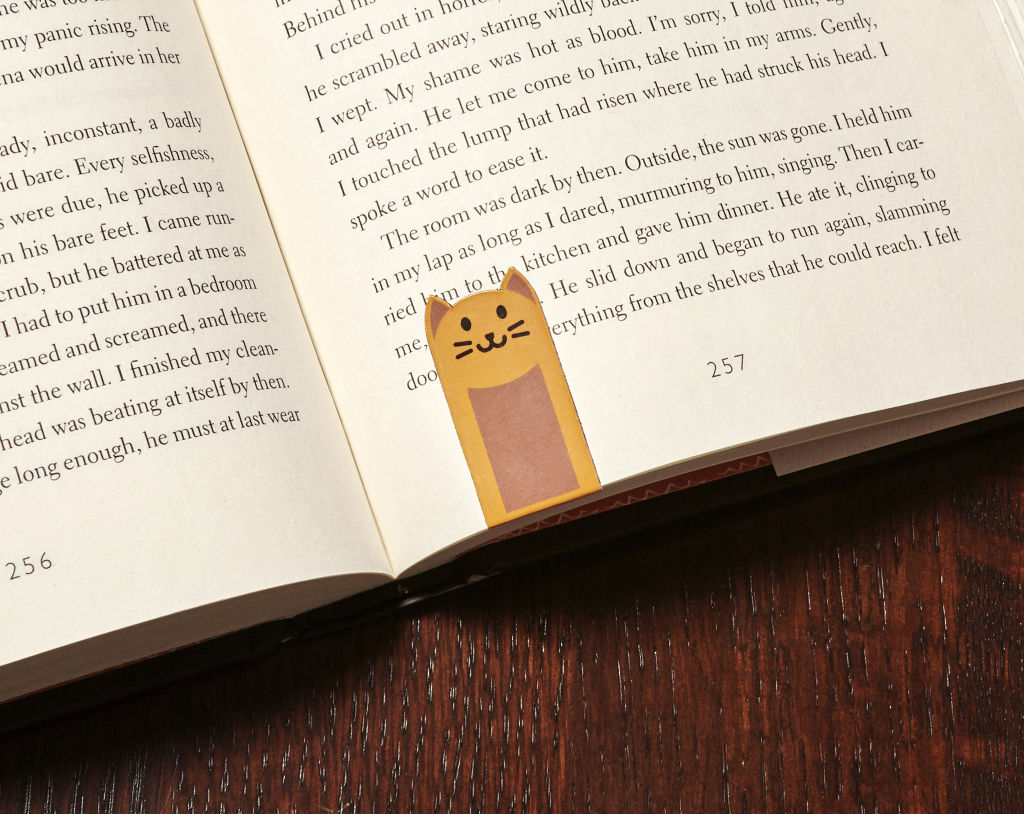 Magnetic Bookmark Cats