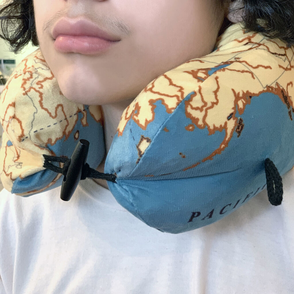 Travel Neck Pillow - World Map print